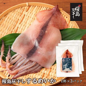  [] މHi ߂ 1t×3pbNZbg//Ђ/܂/D///