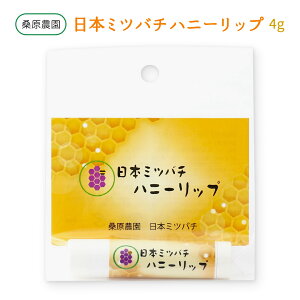 [K_] bvN[ {~co` nj[bv 4g /݂͂ n`~c bvN[ ێ Ƃ ݂낤 낤 O bv т  ~cE  󏭉l {× S