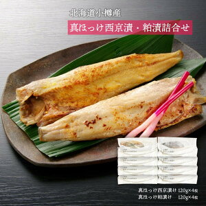  CYi kCMY قЁEЋl ^قЂ120g×4A^قЂ120g×4 /kCY Y VN ^zbP {H