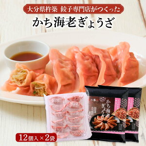 y 2܃Zbg [SASUKE.X^C] CV傤 (15g×12)×2 /ȒP ֗ Lq ⓀLq 啪 nz nYn  CV  CV ʕ{p LqX t 啪nzs Y