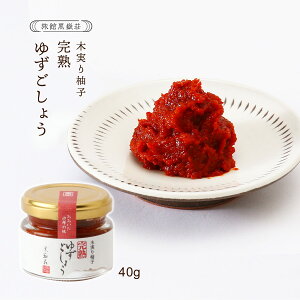 [ٍԑ] MqӞ n䂸傤 40g /B yY 䂸 啪 MqӞ Mq傤 䂸傤 ؎Mq n     T_ pX^ Xe[L ٍԑ  g