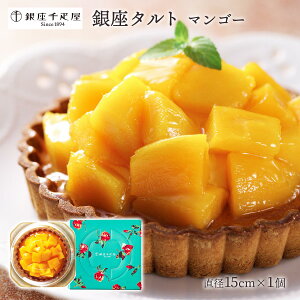  [D] mXC[c ^g (}S[) a15cm 1 /Mtg o[Xf[P[L  Ε ԗi XC[c t[c^g ^gP[L }S[^g