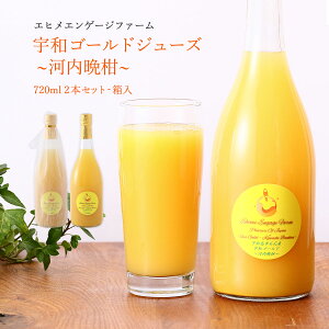 IWW[X [GqGQ[Wt@[] FaS[hW[X(͓ӊ) 720ml 2{Zbg() /Mtg 蕨 W[X B݂ ݂W[X Q Fa Y Fa