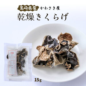  [킳]  {茧Y 炰 15g /Y炰 uߕ LNQ 炰 H ՂՂ RR gbsO Y {茧 Md