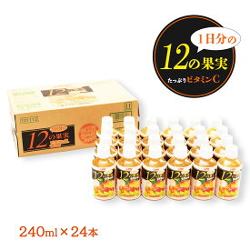 [宮崎県農協果汁(サンA)] フルーツジュース 【ケース販売】1日分の12の果実 果汁100% 240ml×24本 /朝食 ビタミンC 箱買い ペットボトル ギフト 贈り物