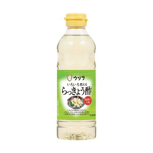 | [Ed] 傤| 500ml /bLE| 傤Ђ Ð|Ђ sNX }l i |̕ Y  Ed| R