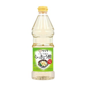 | [Ed] 傤| 1L /bLE| 傤Ђ Ð|Ђ sNX }l i |̕ Y  Ed| R