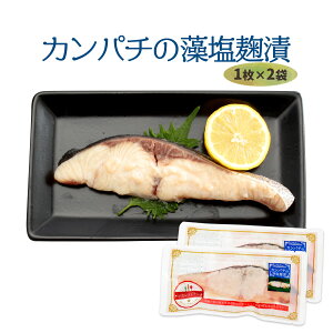 [˂] QFa Jp`̑ 1×2PZbg /l Q Fa ӟ  銱 {̖o