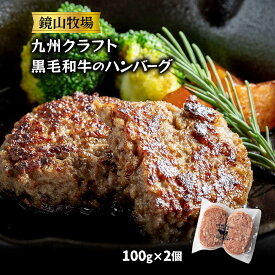 [鏡山牧場] ハンバーグ 九州クラフト黒毛和牛のハンバーグ 2個(100g×2個) /牛肉 牛 黒毛和牛 宮崎県 和牛 ハンバーグ 冷凍ハンバーグ 延岡市 九州 クラフト黒毛和牛 八崎牛 熟成肉 贅沢 フワフワ食感 赤身肉 こだわり 厳選素材 牧場 鏡山牧場 ドライエイジング