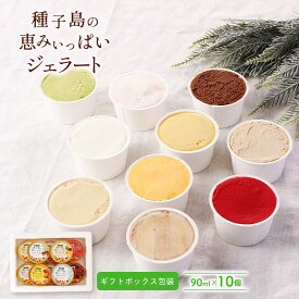 [HOPE] アイス 種子島の恵みいっぱいジェラート 10個入り ギフトボックス包装 アイスクリームアイスクリーム スイーツ ジェラート 10種類入り お中元 父の日 敬老の日 お歳暮