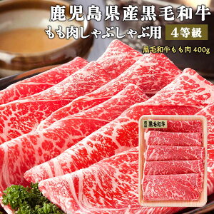  Mtg v[g 蕨 Ε  OEX^WA YјaԂ(4) GN-4 YјaԂԗp400g