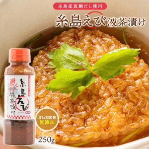 y10%OFF yVX[p[SALEz[Hi] щtЂ 250g  Ђ ^ ₾ ۑ Y