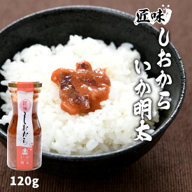 【スーパーセール価格】イカめんたい イカ めんたい 九州 お取り寄せ グルメ ギフト 源馬の銘味 いか明太 120g