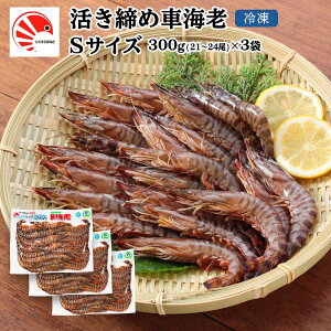 [Ђ̂܂ԊCV] CV YⓀԊCV STCY×3P(21`24) 900g//ԊCV/^pbN/Nx/VN//Ⓚ/}//蕨/Mtg/