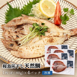  [] މHi VR 1×4pbNZbg//Ђ/܂/D///