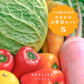 季節の野菜セット 5~6種 送料込1980円 大分県 人気 新鮮 [REALIZE] 大分県豊後大野 おまかせお野菜セットS 旬のお野菜 5~6種 /野菜 旬 果物 フルーツ 無農薬野菜 とれたて野菜 農家 産地直送 八百屋 定番野菜 野菜の詰合せ やさい みずみずしい 美味しい リアライズ 送料無料