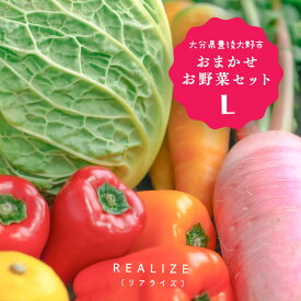 季節の野菜セット 9~10種 送料込3980円 大分県 人気 新鮮 [REALIZE] 大分県豊後大野 おまかせお野菜セットL 旬のお野菜 9~10種 /野菜 旬 果物 フルーツ 無農薬野菜 とれたて野菜 産地直送 八百屋 定番野菜 野菜の詰合せ やさい みずみずしい 美味しい リアライズ 送料無料