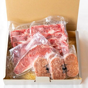 [Rq] Mtg BNtgMtgA n[XXCX 250gAnT[CXe[L 220gABNtgјanno[O 100g×4(1pbN2) /Mtg 蕨 