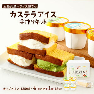 [}}X] l ܓ񓇔ĨACX₳ JXeACXLbg JXe1{(16)AACX 120ml×4(ܓ×1A񂱂×1Aܓoj ×2) /ACXN[  ̃A