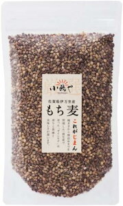 [⌵I]  800g(400g×2)/N NH  _CV` H@    ꌧ ɖY Y Y BY Y  ՂՂH _CGbg ۑH 