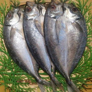 茧Y Ђ   O Mtg RY ^(L)120g×3