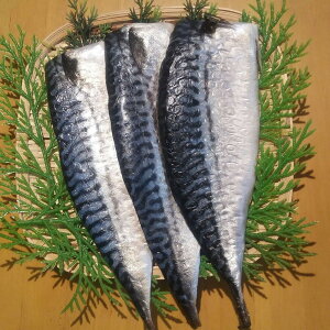 茧Y Ђ   O Mtg RY ^Ύ(F)120g×3