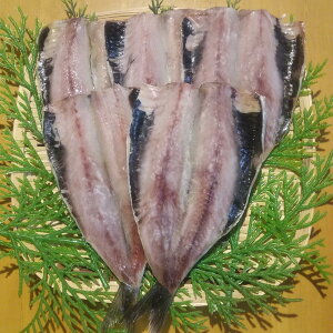 茧Y Ђ   O Mtg RY ^킵()60g×5