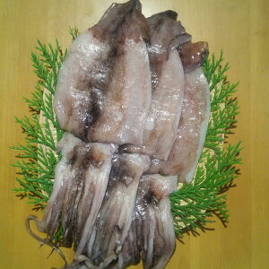 茧Y Ђ CJ  O Mtg RY ^銱150g×3