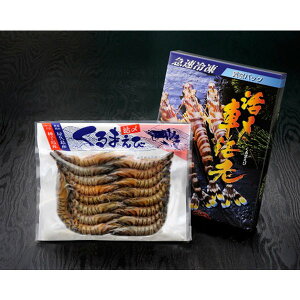 y20%OFF yVX[p[SALEz[ԊCV{] YⓀԊCV  300g(9`12)/Gr    O Mtg