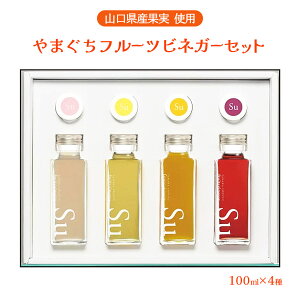 [}Jݖ] | RY ʎ gp t[crlK[ lߍ킹 Zbg 100ml×4 Mtg 蕨 ̕i ̓ ʎ| t[c N Y