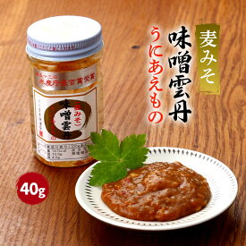 みそ雲丹 [うに甚本舗] 味噌雲丹 40g /ウニ 雲丹 瓶詰めうに 味噌雲丹 ピリ辛 白ごはん 酒の肴 おつまみ おかず 唐辛子 辛味 みそうに 瓶詰め 下関 専門店