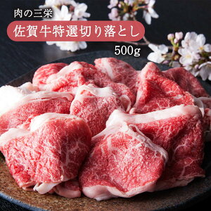 [̎Oh] ꋍI؂藎Ƃ 500g/ꋍ/ڗ/I///I/؂藎Ƃ