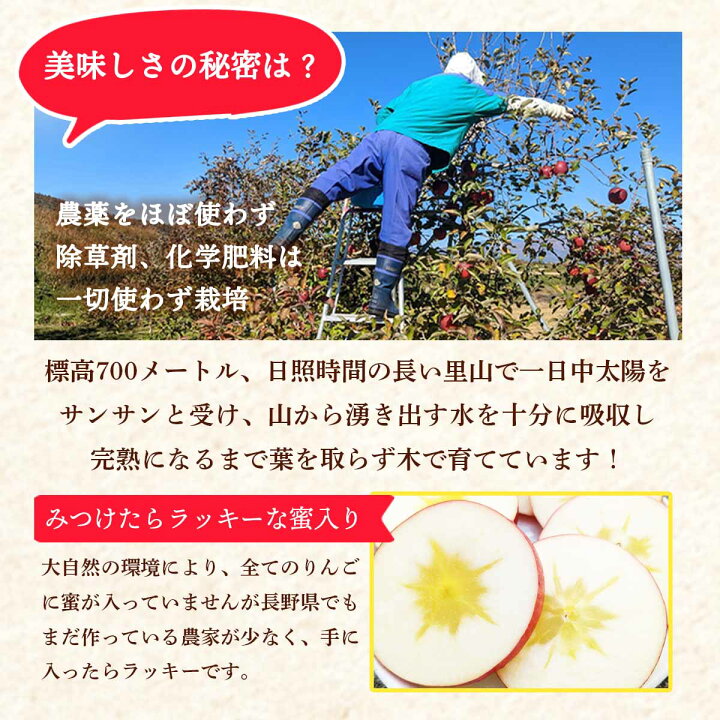 楽天市場 ロングフィールド リンゴ 長野県産りんご シナノホッペ お試し4個 林檎 希少新品種 レア しなのほっぺ 葉とらず お取り寄せフルーツ にじデパート楽天市場店 楽天市場 ロングフィールド リンゴ 長野県産りんご シナノホッペ お試し4個 林檎 希少新品種 レア しなのほっぺ 葉とらず お取り寄せフルーツ にじデパート楽天市場店