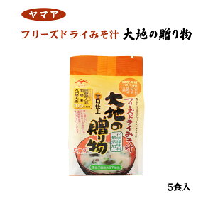 X` [Hi] t[YhC݂` n̑蕨 5H /Y X`  t[YhC ۑ Y 킹݂ |   VLVL