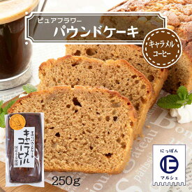 お菓子 [ピュアフラワー] パウンドケーキ キャラメルコーヒー 250g /パウンドケーキ お菓子 洋菓子 来客 家庭訪問 九州 国産 中山久良蔵