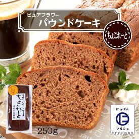 お菓子 [ピュアフラワー] パウンドケーキ ちょこれーと 250g /パウンドケーキ お菓子 洋菓子 来客 家庭訪問 九州 国産 中山久良蔵