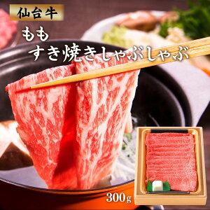  [ha] 䋍ĂԂ 300g /  {錧 O Mtg 蕨 v[g a ō Y