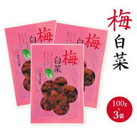 漬物 送料無料 3袋セット [山豊] 広島菜 梅白菜 100g×3袋セット /広島県 漬菜 広島菜 白菜 国産 倉庫