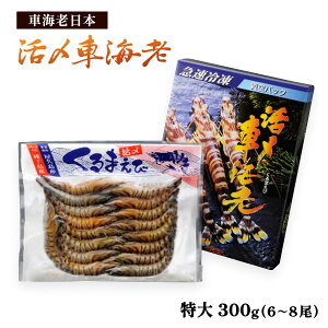 y20%OFF yVX[p[SALEz[ԊCV{] YⓀԊCV  300g(6`8) /Gr    O Mtg