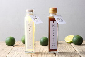 【スーパーセール価格】へべす かぼす ぽん酢 ポン酢 宮崎県 へべす果汁 [K&Co.] 日向へべぽんと日向へべすシロップのセット (ポン酢/シロップ) 各150ml