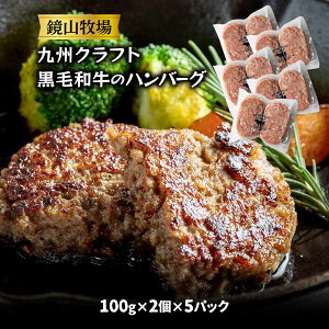 [Rq] no[O BNtgјãno[O 10(100g×2×5pbN) /  јa {茧 a no[O Ⓚno[O s B Ntgјa 苍 n