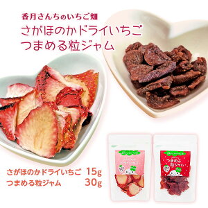 [񂿂̂] hCt[c hCW̃Zbg hC15g×1܁AW30g×1 C`S  Y hCt[c ꌧY [O