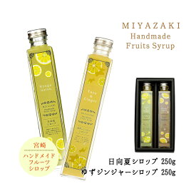 [創未家] シロップ 宮崎ハンドメイドシロップ箱入 2本入(日向夏200ml・ゆずジンジャー250g) /日向夏/ゆず/柚子/ショウガ/生姜/しょうが/シロップ/清涼感/割材/爽やか/炭酸水/自然派/希釈用