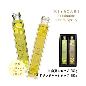 y20%OFF yVX[p[SALEz[n] Vbv {nhChVbv 2{(200mlE䂸WW[250g) //䂸/Mq/VEK/I/傤/Vbv///u