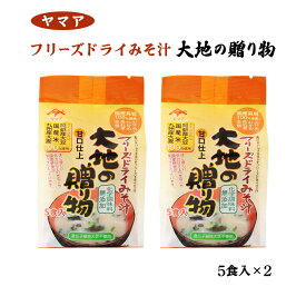 [松合食品] フリーズドライみそ汁 大地の贈り物 5食入り 5食×2 /九州 調味料 福岡 フリーズドライ