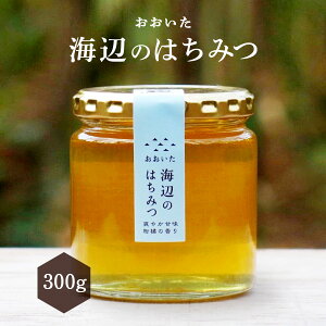 ݂͂ [}{I] Cӂ݂̂͂ 300g /I n`~c 啪 Y N  nj[ HONEY