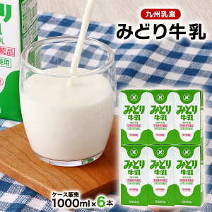 [B]  yP[X̔z݂ǂ苍 1000ml×6{ / 100% Y 퉷 肽 OZ[ H َq ܂Ƃߔ pbN 