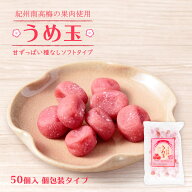 [テラモト] 梅菓子 うめ玉50 （50個入り）/紀州 和歌山 南高梅 梅の里 梅肉 倉庫