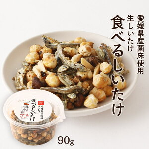 َq [c] Hׂ邵 90g /َq ܂ XibN  Q VC^P  Ԃ 肱 ܂ ̂܂