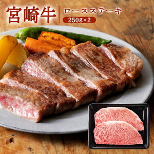 [~`N]  {苍[XXe[L 250g×2 {苍 јa ㎿ Xe[L ē [X  a  { j Mtg v[g Mtg ăMtg 蕨  䒆 